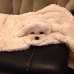 너네 <b>취미</b>있음?