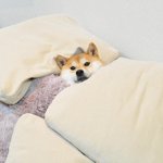 여드름 <b>압출</b> 얼굴 씻고 해??