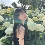 [댓글부탁해] 성격 어케 바꾸냐아<b>아라</b>랑!!!