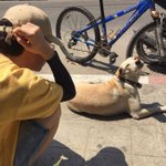 근데 톡선에 부산대 <b>입결</b> 보고 까는 애들은