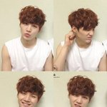 [방탄소년단] 쪼꼬푸들