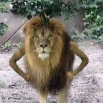 <b>여초</b> 커뮤만 하는 친구vs 남초 커뮤만 하는 친구