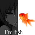 이거 내가 선 넘은거임?