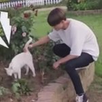 [NCT즌] 확실히 강아<b>쥐</b> 키워봐서 다르네