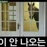 <b>연혁</b> 미리보기 본 사람 드루와...