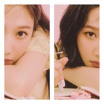 조이 <b>짝눈</b> 엄청 차이난다