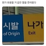 <b>도배</b>하지마