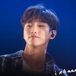 정진영 조카 사랑해