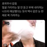 [NCT즌] 얘들아 이거 진짜 <b>조짐</b>;