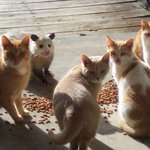 [댓글부탁해] 나 찐으로 고<b>소당</b>햇음