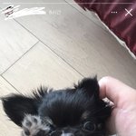 [BTOB] 오늘 <b>민혁</b>이 괴담 안뜨나봐 ㅠ