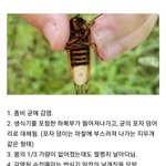 실제로 존재하는 좀비 <b>바이러스</b>