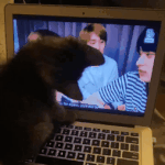 [더보이즈] <b>동족</b>을 알아보나봐