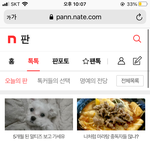 나ㄹㅇ틀잘알인듯