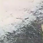 [NCT즌] ㅅㄷ 너네 이정도 찍힘<b>이면</b>