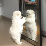[NCT칠프] <b>하아</b>...나한테 취한다 너무 잘난 나❤️