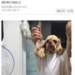 [드루와] 말 잘하는 애들 도와줘…