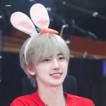 [NCT드림] 다들 토끼라지만...