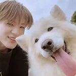 [NCT드림] 엥 졔노 왜 아직 <b>멀쩡</b>한 거지