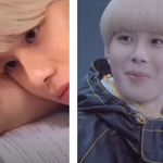 [NCT즌] 노루궁뎅이<b>버섯</b>이 보이네.... 아 귀여워