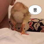 정말최악이야 예능을 해도