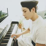 [세븐틴] 항공틴 운동틴 다음엔 음악틴 어때