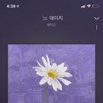 [펜타곤] 밑밑글 보니까 궁금한거!