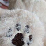 [NCT칠프] 용들아 <b>요요</b> 요 발이 아주그냥