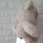 [NCT즌] 찌들아 치타리 <b>본체</b> 닮아서