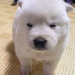 너네 나보다 심한 <b>종아리</b> 봤냐...