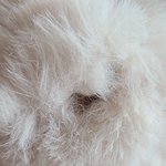 [NCT즌] 아 망했다