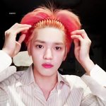 [NCT칠프] 왜 이태용 <b>유사</b>를 다들 안먹지