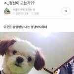 개랑 어떻게 뽀뽀하냐..;;