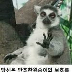 생리주기 언제쯤 <b>일정</b>해짐?