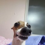 [드루와] 나 변비약 먹음