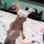 지방런데 대학 <b>수도권</b>으로