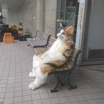 너 없으니 세상이 <b>무력</b>해