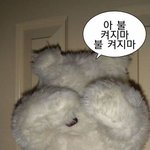 ㅅㅂ... 침대가 살 빼라고 알려주네