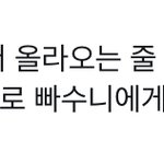 [NCT칠프] 우리 진짜 하루<b>종일</b> 떡밥 잔치였읍ㅋㅋㅋ