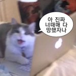 [NCT칠프] 아 진짜 <b>자야</b>되는데