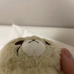 [NCT칠프] 치타리 산 <b>살</b><b>암</b>