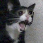 [NCT칠프] <b>코딩</b>오빠들 네시에 모인다면서