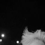 [EXO] 근데 다들 큥콘 가위앱에서 삼?