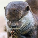 남돌 <b>청량</b>한 노래 추천해줘