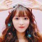 짤하나 강아지 <b>유아</b>