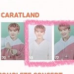 [세븐틴] <b>캐럿</b>랜드 트레카 크기