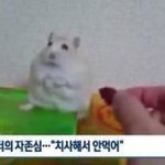 [우주소녀] 설아 <b>은서</b> 배방구?움짤 있는사람