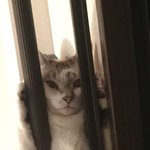 [댓글부탁해] <b>짝녀</b> 이상형 특징좀