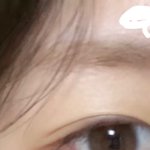 나 ㅈㄴ 극단적인 강아지<b>상임</b>