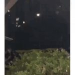 [모두드루와] 나 요즘 <b>sf9</b> 간잽 하는데 ㅋㅋㅋ큐ㅠ